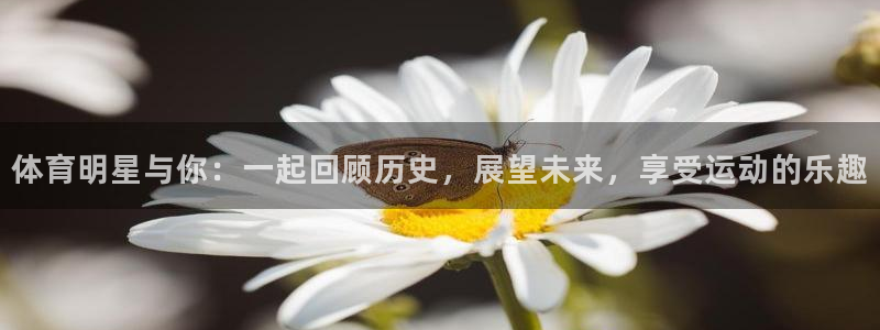 ug环球官网注册
