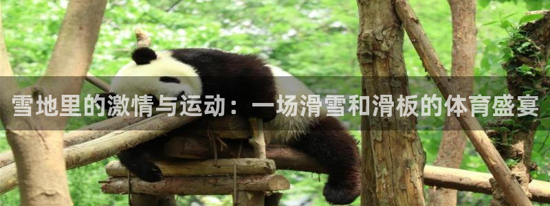 ug环球官网登录入口