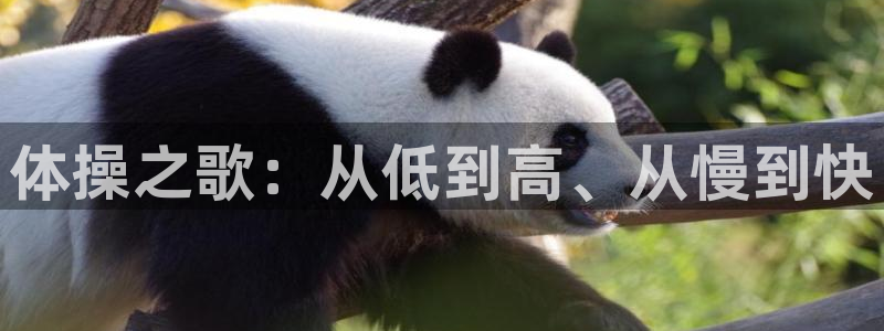 ug环球官网登录入口